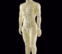 Akupunktør udviklede nyt akupunktursystem på grund eget hold i nakken